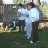 03-Anna Solomon Volunteers